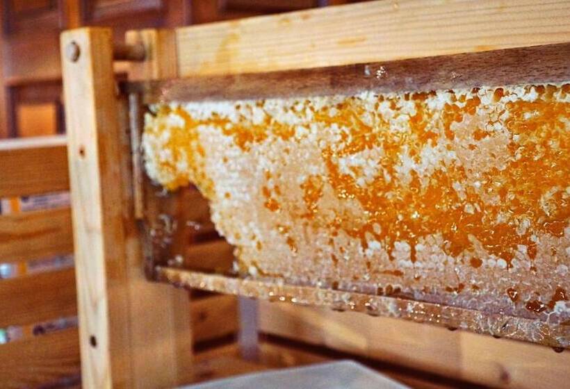 בית מלון כפרי Specht