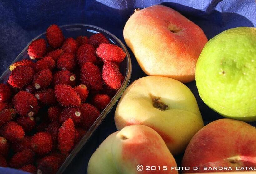 호텔 Suite House L'isola Che Non C'è