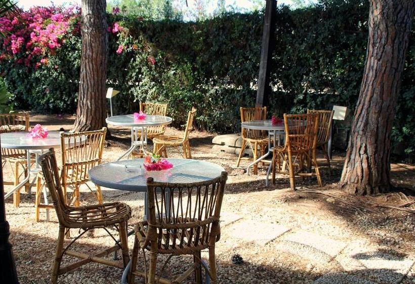 호텔 Suite House L'isola Che Non C'è