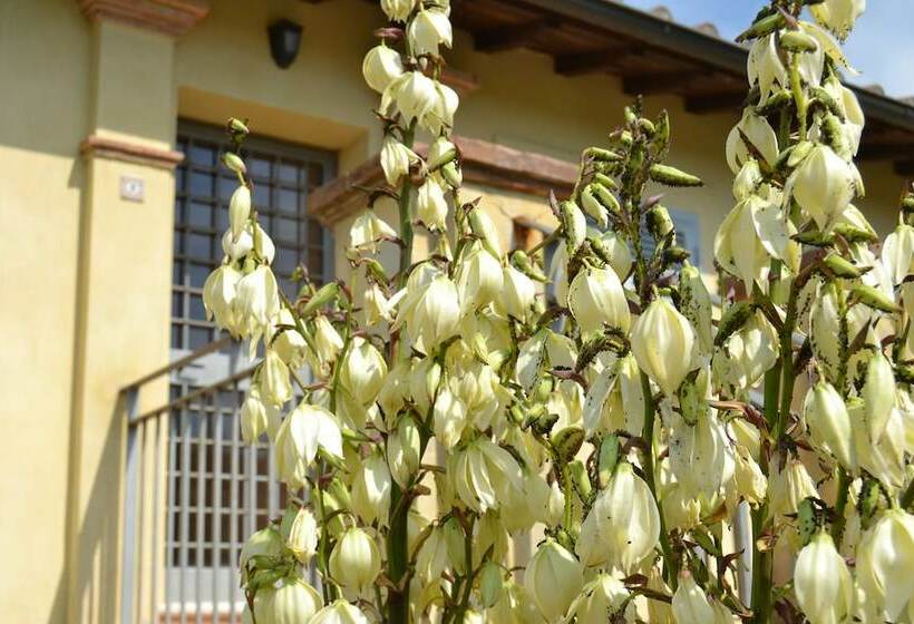 فندق Tenuta Pizzogallo