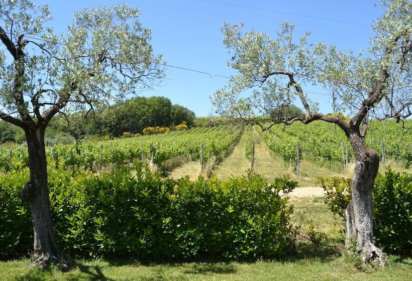 فندق Tenuta Pizzogallo