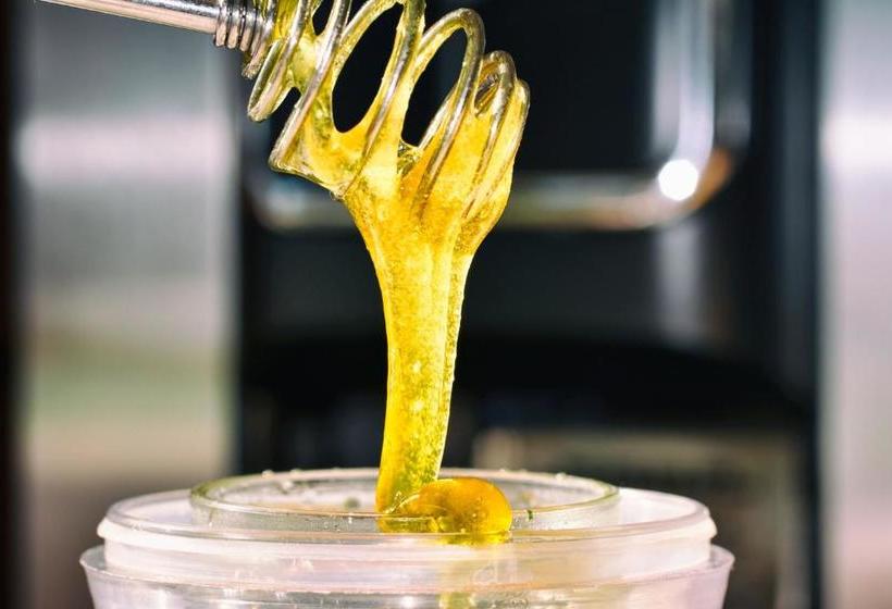 בית מלון כפרי Virgilio