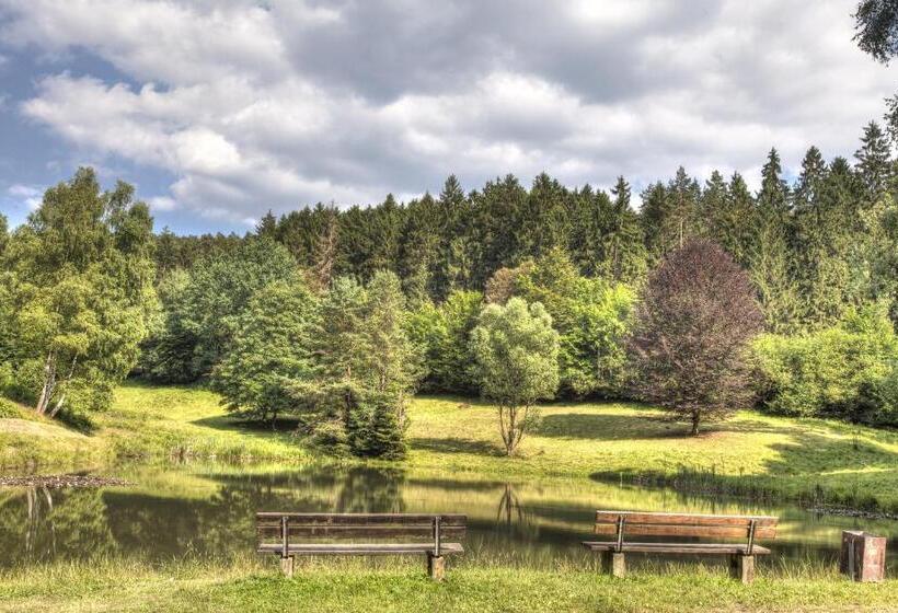 Отель Zum Wiesengrund