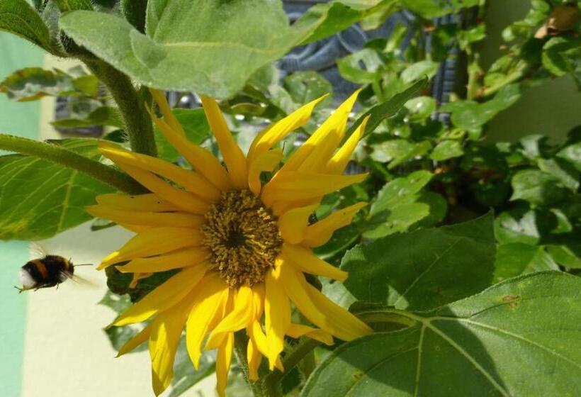 Land Gut Hotel Schenkenberger Hof