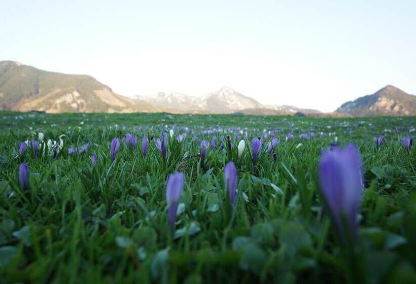 Пансион Gastehaus Funk