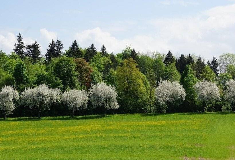 Пансион Gastehaus Funk