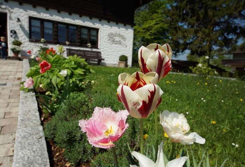 Пансион Gastehaus Funk