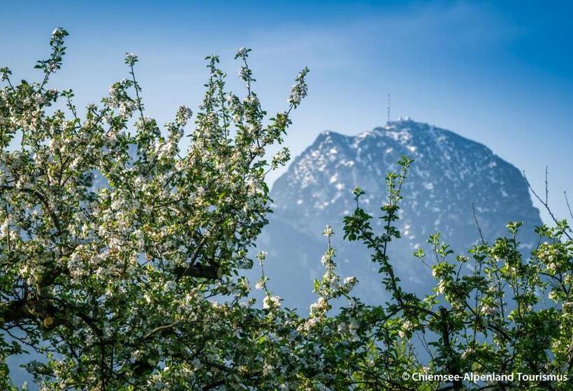 ペンション Land Wirtschaft Höß