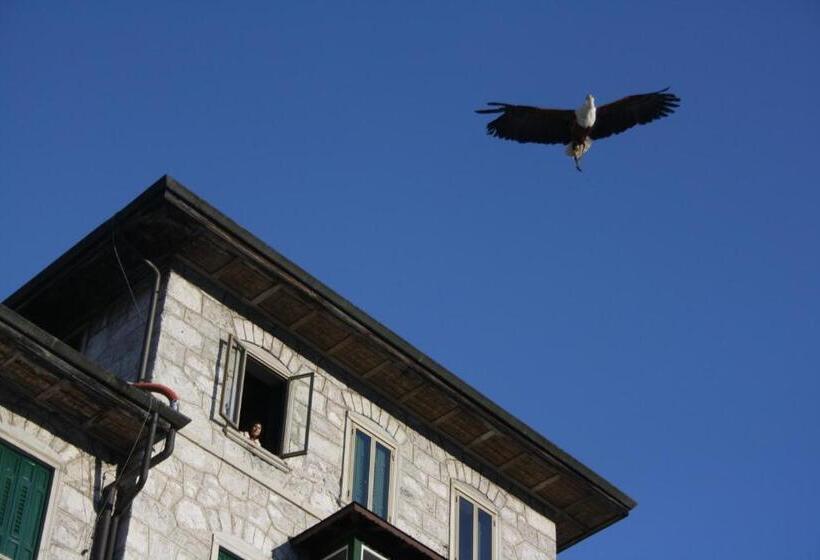 Th Borca Di Cadore Park Hotel Des Dolomites