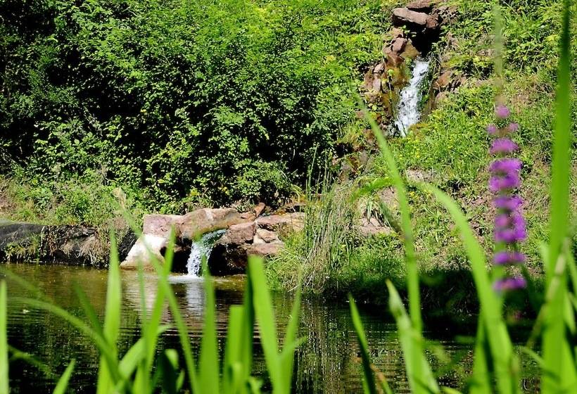 Achat Hotel Franziskushöhe Lohr