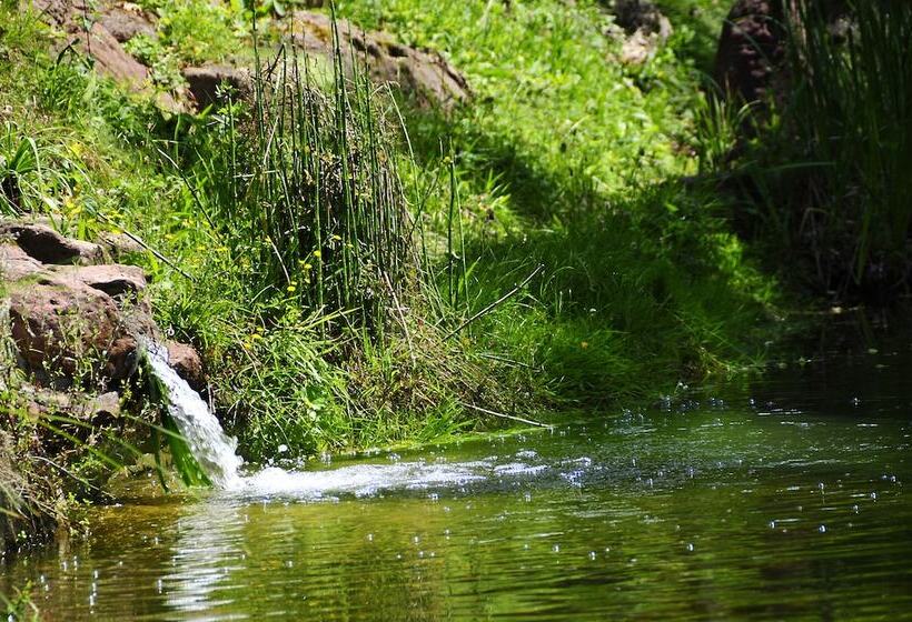 Achat Hotel Franziskushöhe Lohr