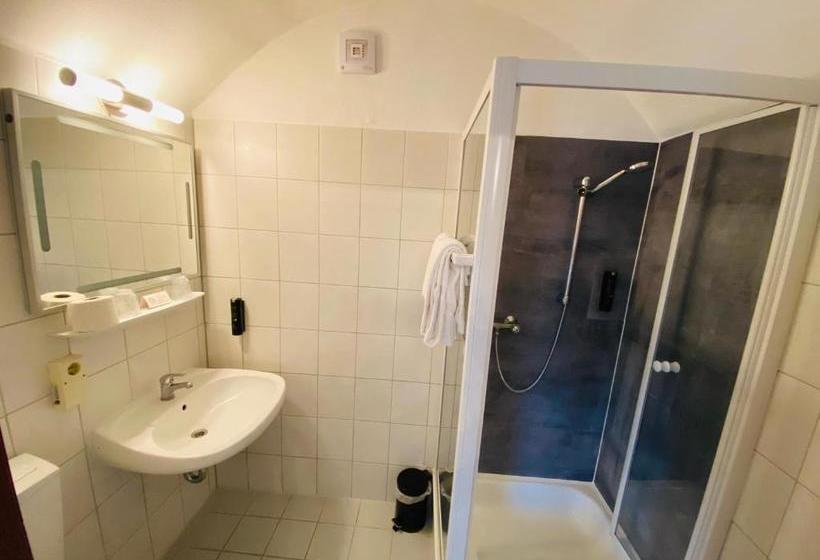 Общежитие Airport Hallbergerhof