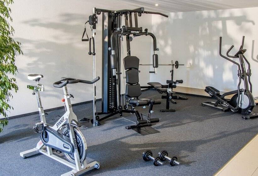 Appartement Hotel Allgayer