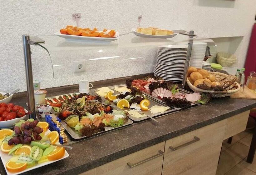 צימר Pension Altstadt Garni