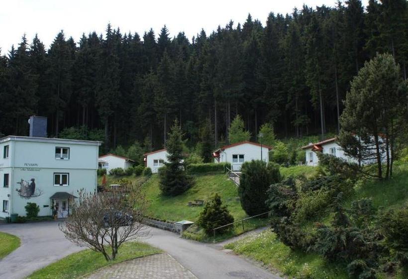 민박 Pension Am Waldesrand