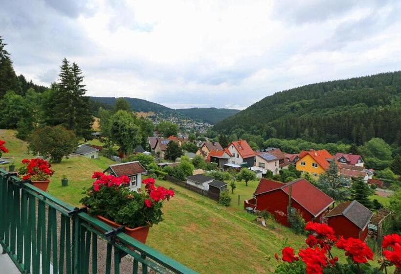 민박 Pension Am Waldesrand