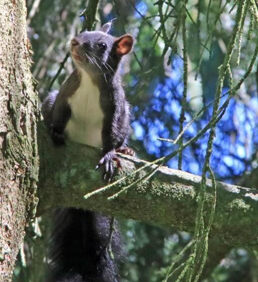 민박 Pension Am Waldesrand