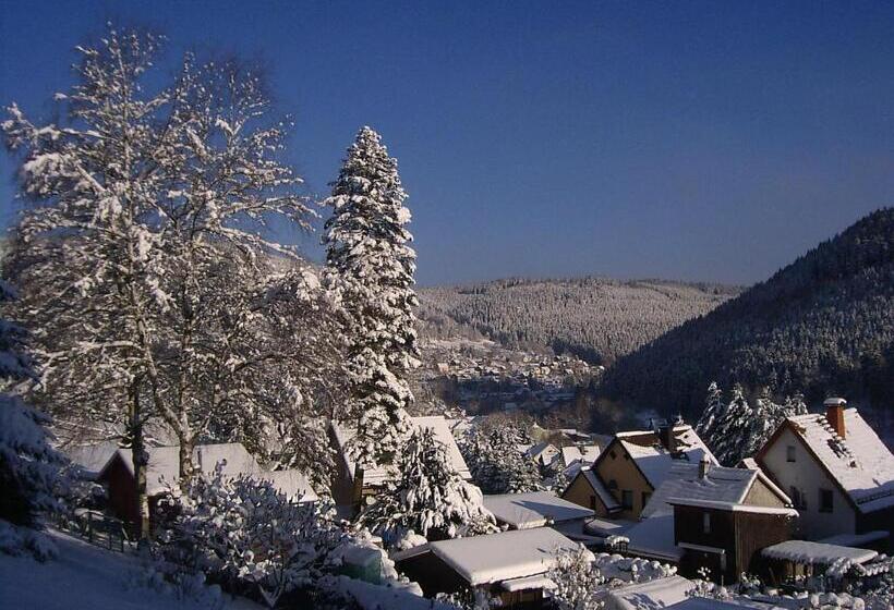 민박 Pension Am Waldesrand