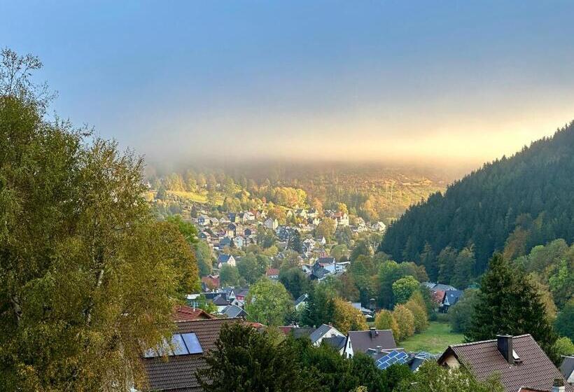 민박 Pension Am Waldesrand