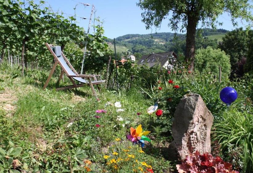 Bed and Breakfast Pension Am Weinberg