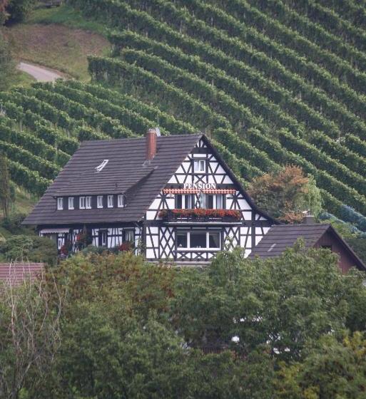 Bed and Breakfast Pension Am Weinberg
