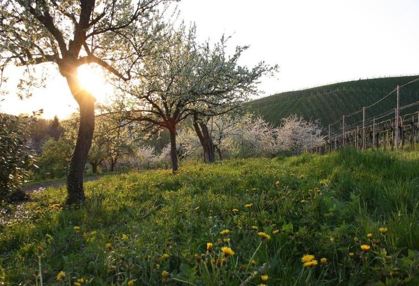 Bed and Breakfast Pension Am Weinberg