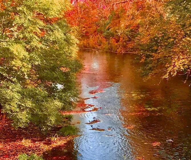 Bed and Breakfast Pension Kurhausblick