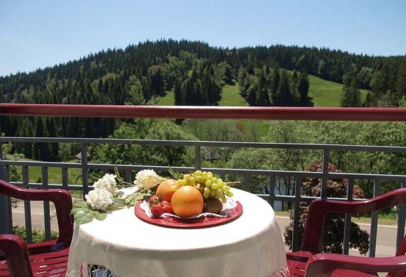 Das Waldhotel   Genuss & Wellness Am Notschreipass
