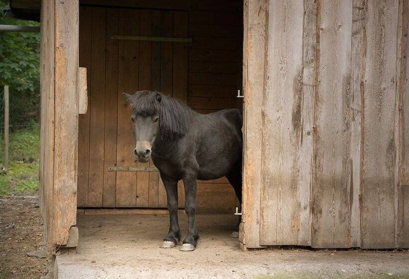 Flair Hotel Mellestollen