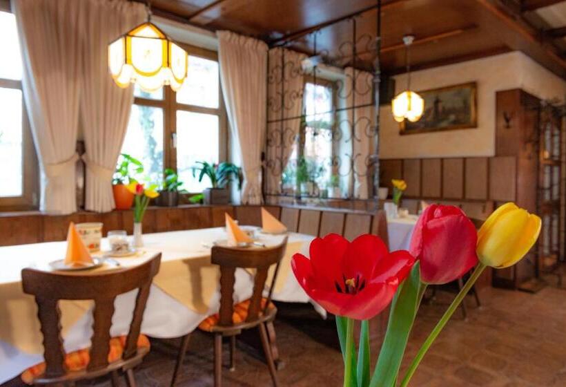 Goldener Schwan Hotel Garni