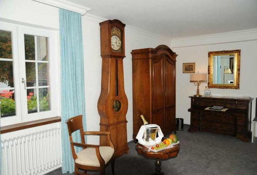 호텔 Adler Weil Am Rhein