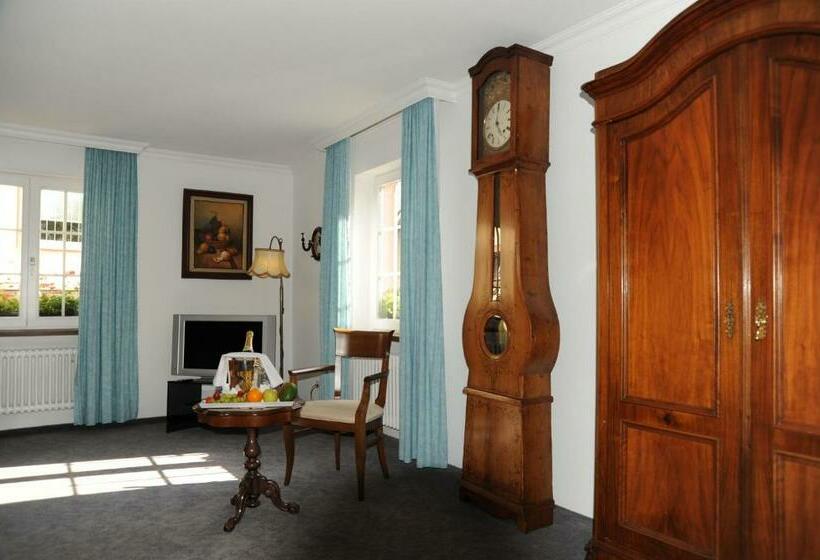 호텔 Adler Weil Am Rhein