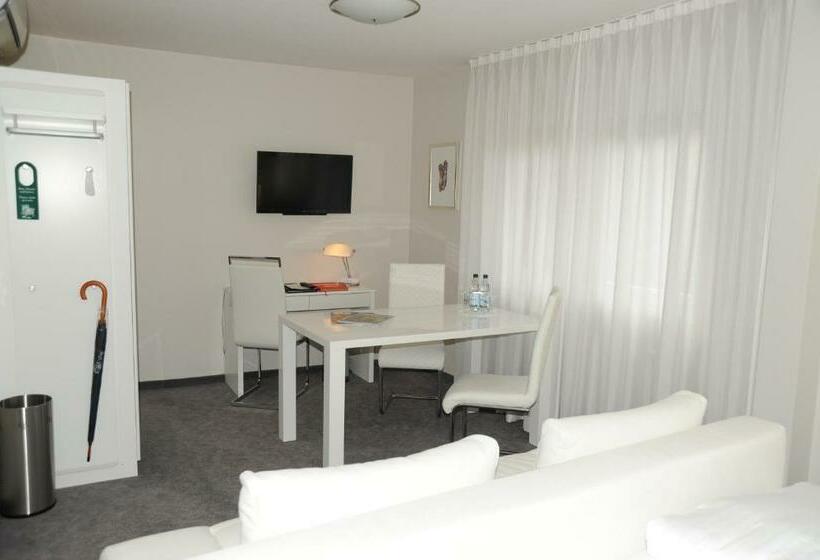 호텔 Adler Weil Am Rhein