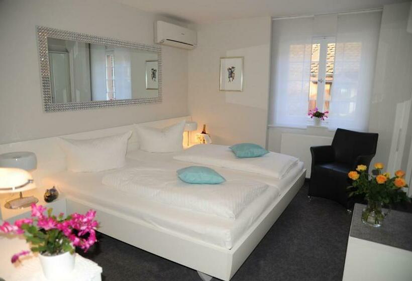 호텔 Adler Weil Am Rhein