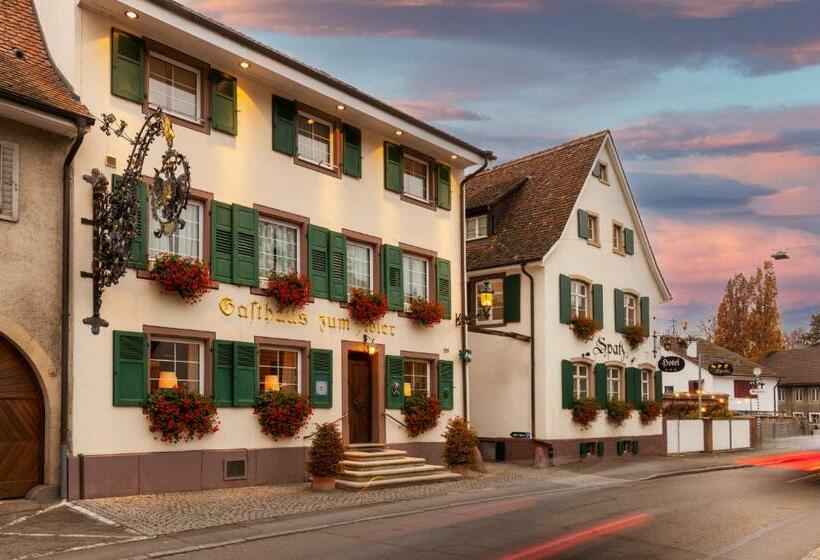 호텔 Adler Weil Am Rhein