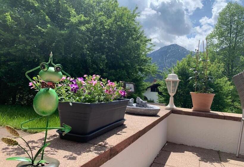 Alpenhotel Sonneck   Mit Bergbahnticket