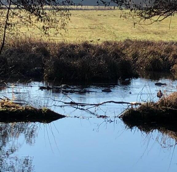 호텔 Am Doktorplatz