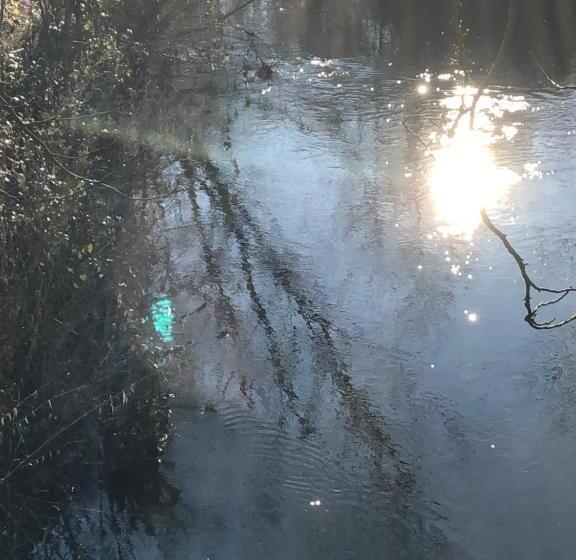 호텔 Am Doktorplatz