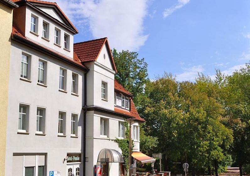 Отель Pension Am Park