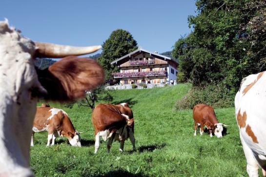 Bauernhof Haus Kandlinger - Kreuth-brunnbichl