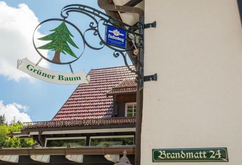 Hotel Berghof Grüner Baum