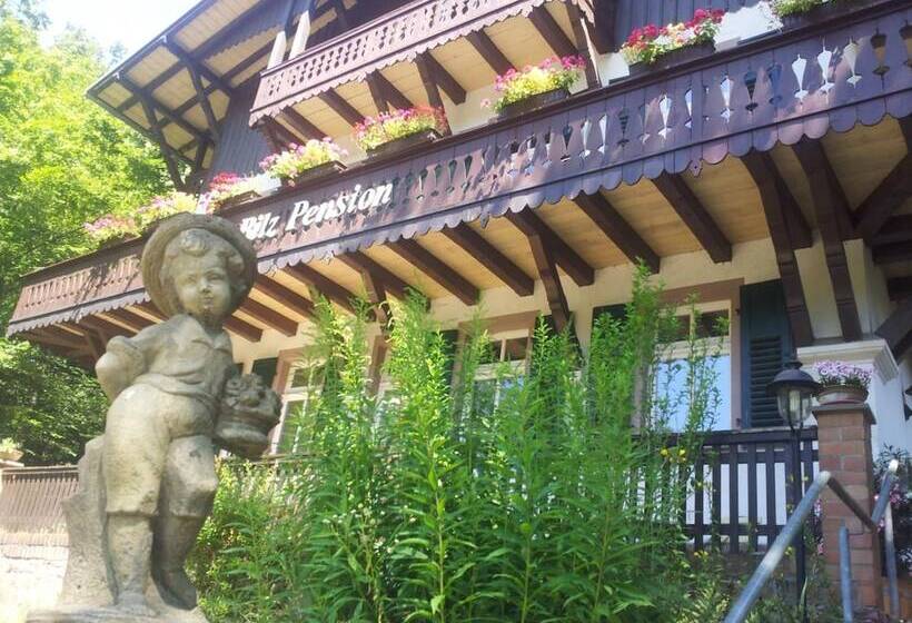 ホテル Bilz Pension