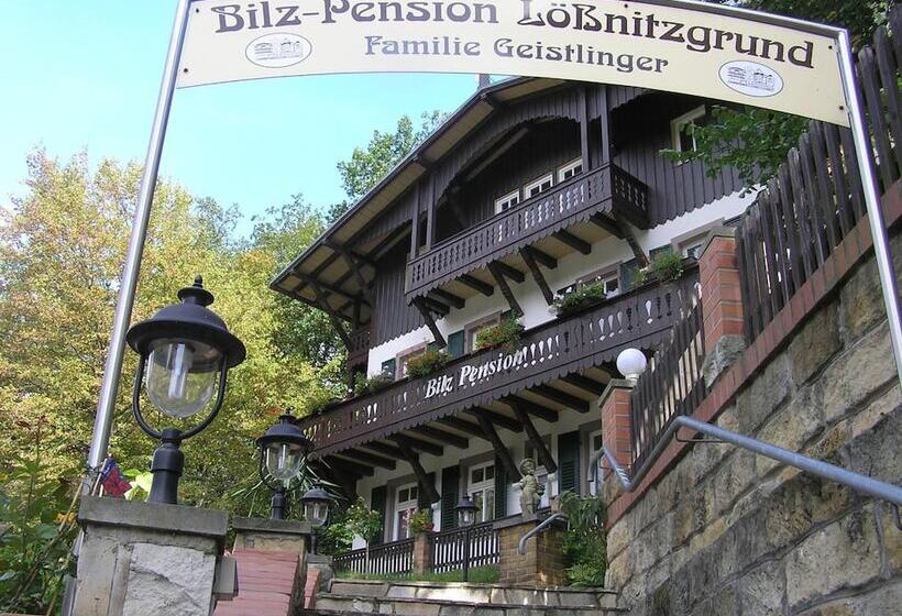 ホテル Bilz Pension