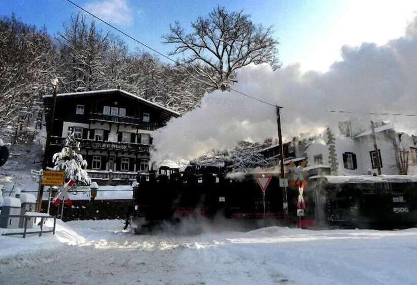 ホテル Bilz Pension