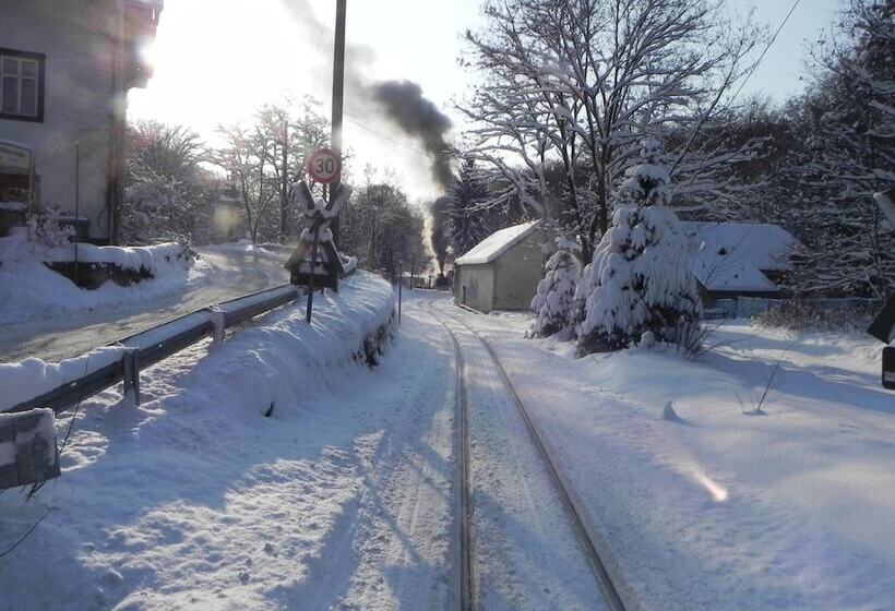 ホテル Bilz Pension