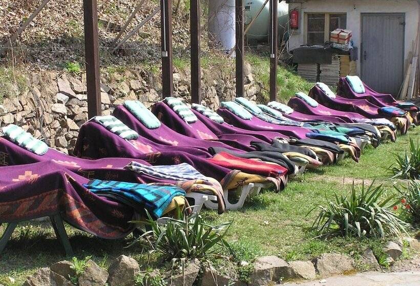 ホテル Bilz Pension