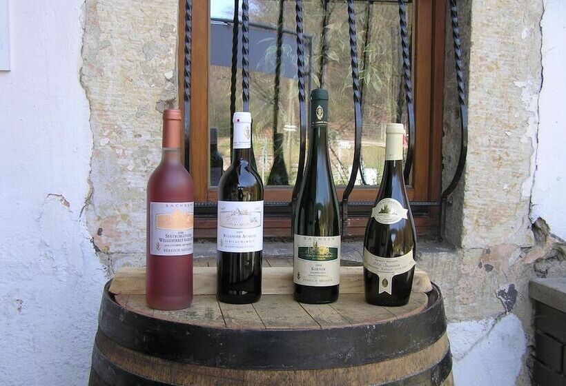 ホテル Bilz Pension