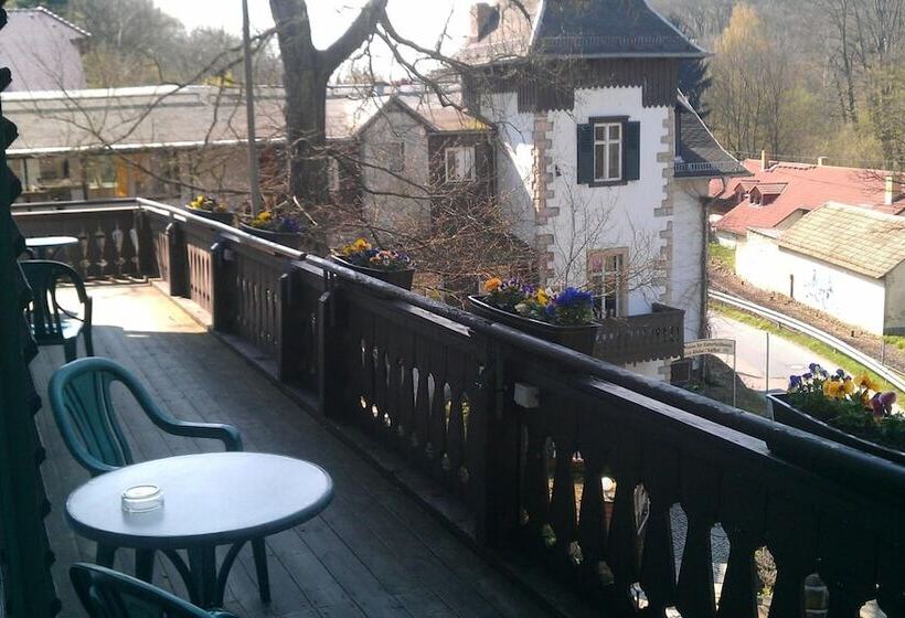 ホテル Bilz Pension