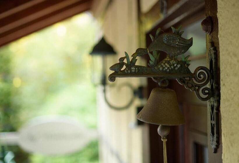 Отель Boutique Jungenwald