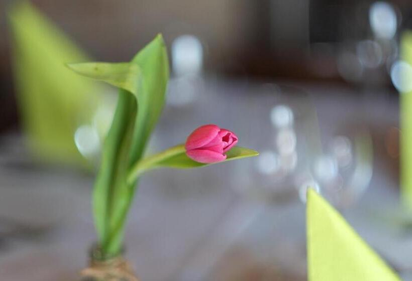 فندق Brockenblick Ferienpark